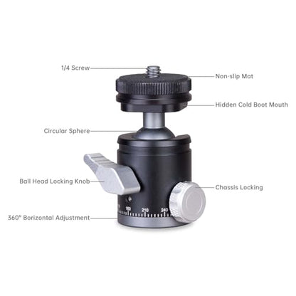B19 Mini Ball Head with Hot Shoe Mount, Aluminum Alloy, 1/4" Standard Screw, 360 Degree Rotation, 30mm x 64mm, Black