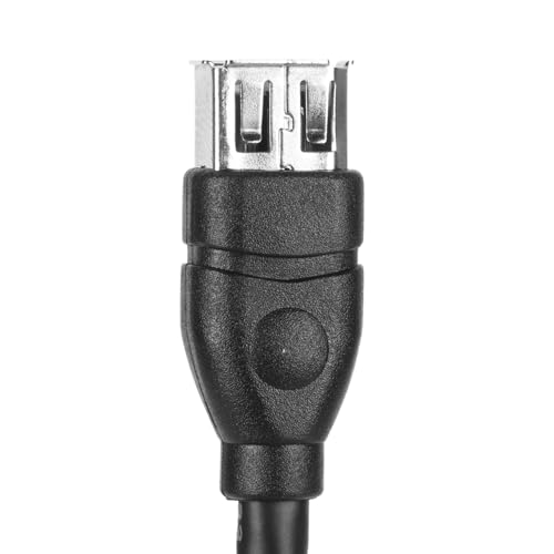 20cm IEEE 1394 6 Pin to USB 2.0 Adapter, 6 Pin Female to USB Adapter Cable Converter with High Speed Data Transfer for DV Camcorders