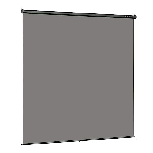 RAUBAY Retractable Pull Down Grey Screen Backdrop - 78.7" x 86.6" Collapsible Wall-Mount Background for Professional Video Production, Photography, TikTok and Video Conferencing - color: Grey, size: Wider(78.7 x 86.6in)