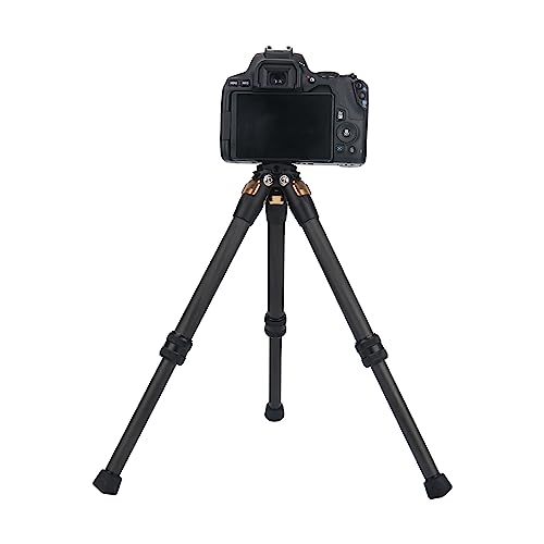 Carbon Fiber Mini Tripod, Desktop Tabletop Stand Compact Mini Tripod for insta360 Insta 360 x5 x4 ONE X3 X X2 RS Go pro Hero 13 12 11 10 9 for DJI OSMO 360 Accessories (Green) - color: Green