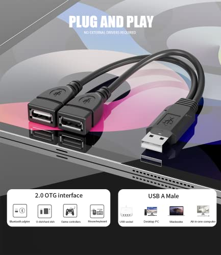 Eanetf USB Cable, 2-Port USB 2.0 Male to Female Splitter, High-Speed Charging & Data Transfer for Laptop, Car, Mac, TV, PC, Xbox, HDD