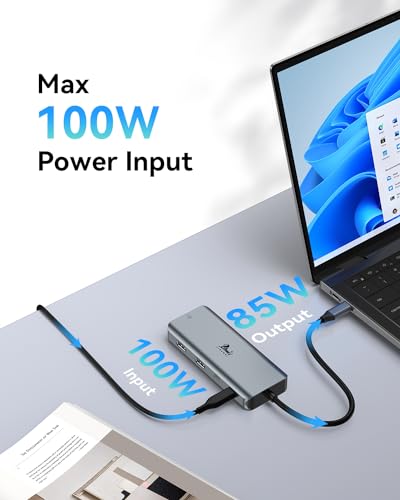 LIONWEI 9 in 1 Laptop Docking Station, Dual HDMI, 100W PD, USB C 3.0, Ethernet, Audio/Mic, USB C Hub for Dell/Surface/HP/Lenovo Laptops - color: 9-in-1 (2 HDMI)