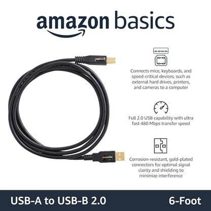 Amazon Basics USB 2.0 Cable, USB-A to USB-B, for Printer or External Hard Drive, Connect to Computer/Laptop/PC, 480 Mbps Transfer Speed, Gold-Plated Connectors, 6 Foot, Black - size: 6 Feet