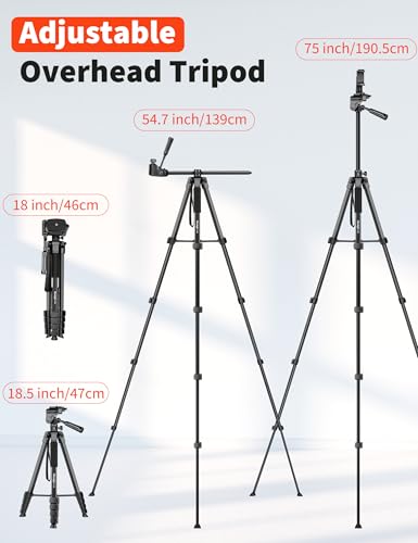 Nineigh 75" Phone Tripod Stand, Overhead Tripod for iPhone with Remote Phone Holder, Aluminum Travel Tripods for Video, Live Streaming & Vlogging, Compatible with iPhone Camera - size: 75 inch