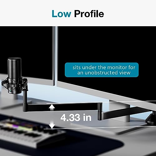 InnoGear Low Profile Mic Arm, 360° Rotatable Microphone Arm Stand Foldable Desk Mic Boom Arm for Fifine AM8 K669B Blue Yeti HyperX QuadCast SoloCast AT2020 and Other Mics - color: Black, style: 2-Axis Arm