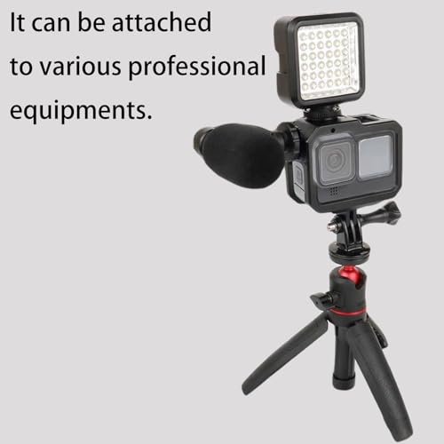 Aluminium Protective Cage for GoPro Hero 13/12/11/10/9, Durable Hard Frame Cases Protector, Strong Metal Housing Frame Video Cage with Sliding Cover - style: Standard Version