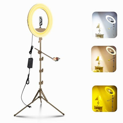 55W18 45cm Ring Light Kit (Black) - size: 18 in ring light kit