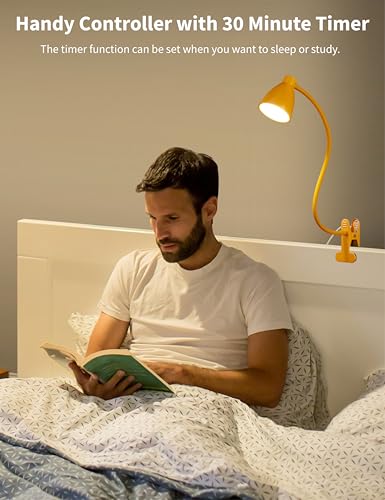 BOHON Clip on Light, Desk Lamp with Clamp, 5 Color 10 Brightness Yellow | Flexible Neck Clip Lamp, 10W 38 LED, Auto Off Timer, Desk Lights for Office Home Bed Bedside Reading, Bright Yellow - color: Bright Yellow