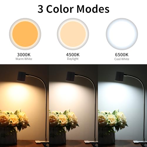 Dott Arts Desk Lamp,USB Clip On Light with 3 Color Modes,LED 10 Levels Brightness Reading Lamp, 360°Gooseneck Book Light,Eye-Care Reading Light for Home Office,Headboards White - color: White