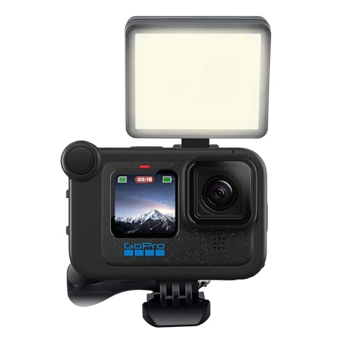 Suptig LED Video Light, Portable Photography Compatible for Gopro Mission 1 Pro, Gopro Hero 13, Hero 12,11,10,9,8,7,6,5,4,3,3+, DJI OSMO, AKASO, Sony DSLR Canon Camera Gopro Vlogging.