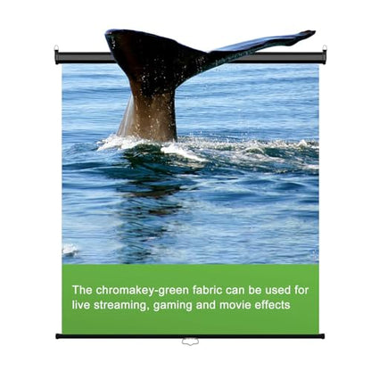 EMART 75 x 79in Retractable Green Screen, Chroma Key Panel Pull Down Auto-Locking and Self-Rewinding, Collapsible Wrinkle-Resistant Chromakey Backdrop for Zoom, Streaming, Photographic Studio