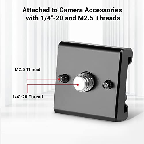 SmallRig Cold Shoe Mount (2pcs Pack) with 1/4"-20 Thread for Camera Cage Flash LED Monitor Microphone - 2060 | with 1/4"-20 Thread, for Camera Cage Flash LED Monitor Microphone