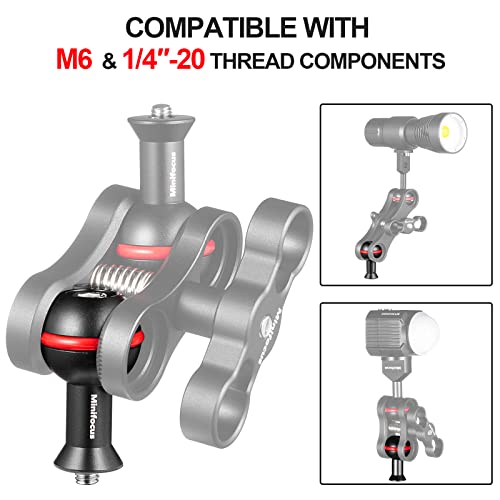 MINIFOCUS 1" Ball Adapter with M6 & 1/4" Threaded Stud, Aluminum Alloy Fixed Ballhead Mount Adapter for Action Camera & Camcorder Compatible Underwater Tray Bracket Flashlight System