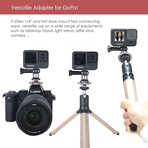 NICEYRIG Hot Shoe Mount Adapter for GoPro Hero 10/9/8/7/6/5, DJI Osmo Action, AKASO Brave 8/7/6 Applicable for Tripod Selfie Stick Monopod and DSLR Camera - 434 - color: Universal