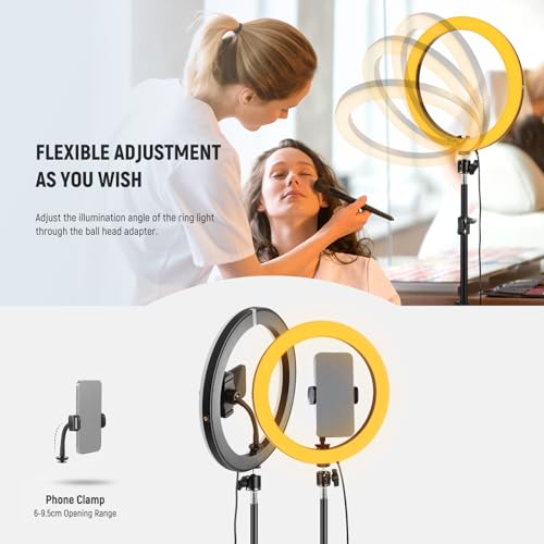NEEWER 12" 24W Power LED Ring Light with Tripod Stand, Bi Color 2900-7000K, USB C PD Input, CRI97+ 1810lux/0.5m Compatible with iPhone Makeup Studio Streaming Selfie Video Recording, RH12B