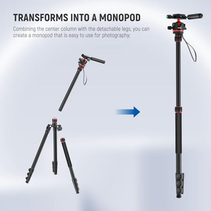 NEEWER Basics Camera Tripod Monopod, 77" Compact Lightweight Travel DSLR Video Stand, 360° Ball Head, Arca Type QR Plate, Reversible Legs & Inverted Central Axis, 13lb Max Load, TP08 - style: TP08