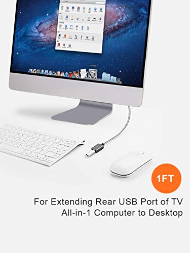 CableCreation [2-Pack] Short USB 3.0 Extension Cable 1FT, USB 3.0 A Male to Female Extender for VR, PlayStation, Xbox, Keyboard, Printer, Scanner, Space Gray 0.3m - size: 1FT-2Pack, style: Straight
