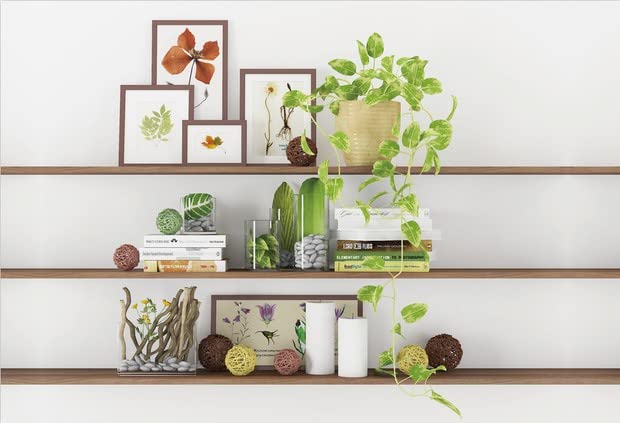 10x8ft Modern Living Room Backdrop Green Plant Bookcase Office Zoom Backdrop for Video Conference Zoom Screen Background for Home Office Background for Zoom Meeting Video Recording - size: 10x8ft