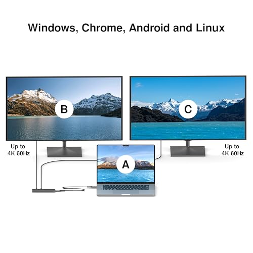 USB 4 Hub 8-in-1: Dual 4K 60Hz/8K Display, 7X USB-C Ports (3X USB4, 4X 10Gbps Data), 100W PD - Thunderbolt 3/4 Dock for MacBook Pro/Air M1/M2/M3, Windows, Chromebook - color: USB4 Max 8-in-1(Space Black)