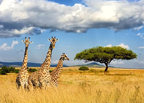 Fabric 7x5ft Kilimanjaro Giraffe Backdrop Africa Safari Landscape Photography Background Giraffe Birthday Kenya Party Decorations Banner Photo Booth Props Wildlife Animals Zoo Theme Party - size: 7x5FT