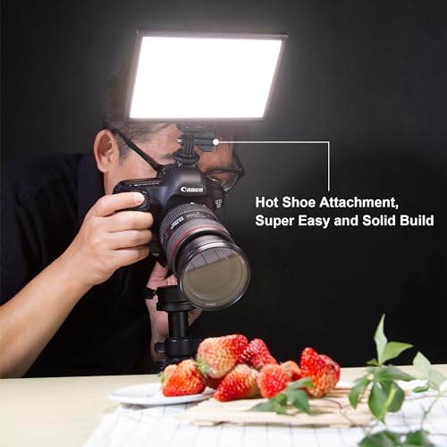 VILTROX 15W LED Video Light Panel, 3300K-5600K On Camera Light, Super Thin Key Light Panel with NP-F550, Led Photography Lighting CRI95+ for Studio Photography Video Recording Live Streaming （L116T - size: 15W CCT & Super Slim