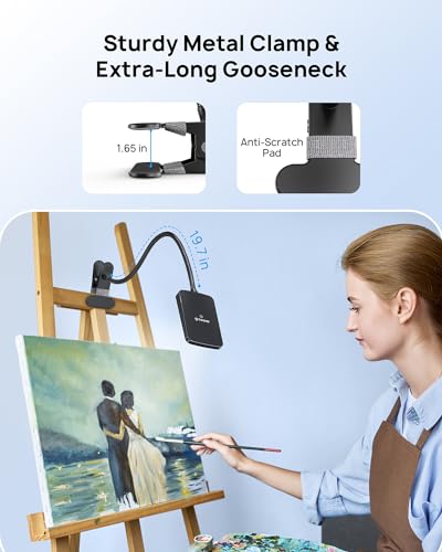 TROND LED Desk Lamp with Clamp, 1000LM Super Bright 3-Level Dimmable Desk Light 6000K Daylight, Extra-Long Flexible Gooseneck Clip on Light, Eye-Care Clamp Lamp for Painting, Workbench,Reading, Sewing - style: Type A Clip Lamp