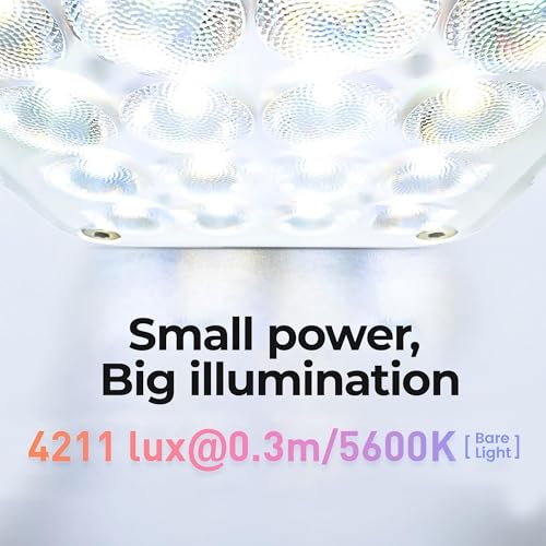 Nanlite Pico Portable LED Fill Light – Full Color RGB, Snap-On Attachment for Phone/Camera Photography, Live Streaming, Video Content Creation (Midnight Blue) - color: Midnight Blue