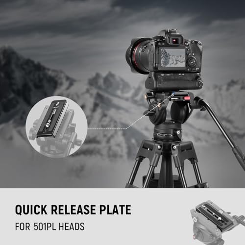Neewer 501PL Tripod Fluid Head Quick Release Plate, Camera Mounting Plate with 1/4" and 3/8" Screws, Anti Off Pin for GM001 GM002 GM006 Fluid Heads, QR5 - style: QR5/1 Pack