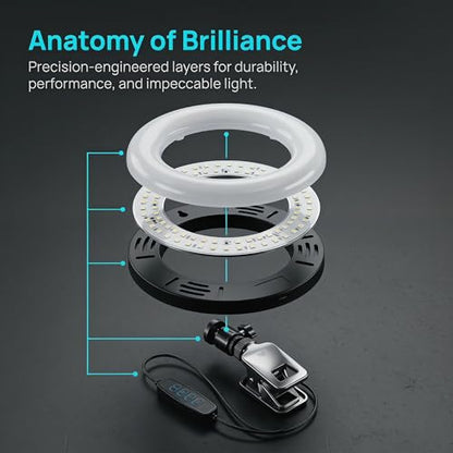 6" Ring Light with Desk Tripod Stand and Clip | Video Conference Lighting, Monitor Laptop Computer Compatible, Zoom Call Live Streaming, Remote Working Learning