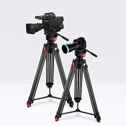 NEEWER 79"/200cm Video Tripod, Heavy Duty Aluminum Alloy Camera Tripod Stand with 360° Fluid Drag Head, QR Plate Compatible with Canon Nikon Sony and Other DSLR Camera Camcorder, Load Up to 17.6lb/8kg - style: TP-M200