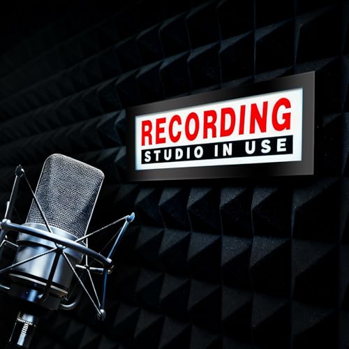 RECORDING STUDIO IN USE Light Box Recording Red LED Neon Lights Wall Mountable Dimmable Sign Light for Twitch Tiktok Youtube Streamers Radio Station Bar Club Decoration - color: RECORDING Red White Letter 1