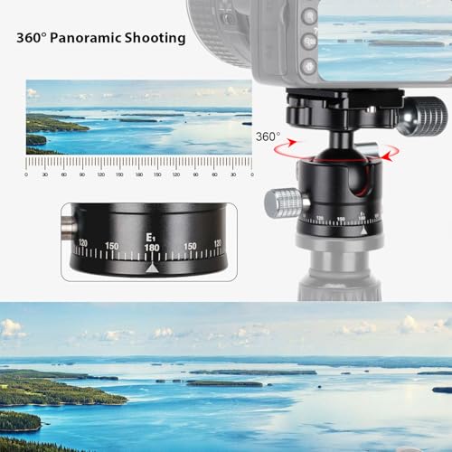 Koolehaoda Mini Ball Head with Arca Quick Release Plate, 360° Panoramic | Φ28mm Metal Ball Joint, 1/4" Screw, Max Load 22lbs/10kg, for DSLR Camera Tripod Monopod, Lightweight Aluminum - color: 28mm Ball Head