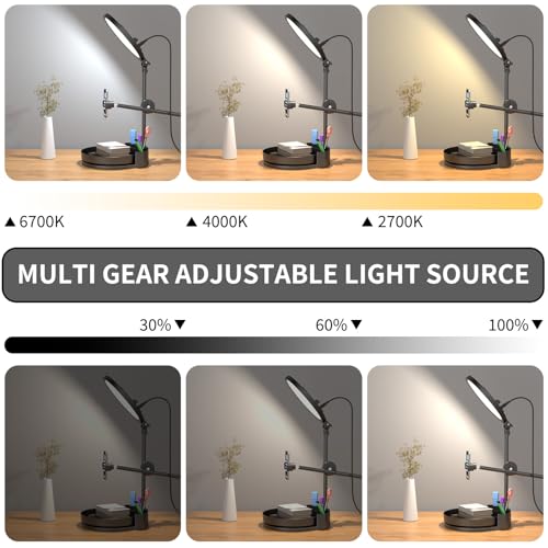 Selfie Light Kit for Desk and Laptop,55W Dimmable Full Screen Ring Light,with Rotating Storage Box,Pen Holder Stand,Phone Holder and Controller (Ice Blue, 10.5) - color: Ice Blue