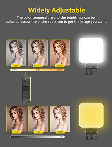 NexiGo 1080P Business Webcam Kits, N60 HD Web Camera with Microphone and Privacy Cover, Software Control, Enhanced Video Conference Lighting Kit with Webcam Style Clip, for Zoom/Skype/Teams