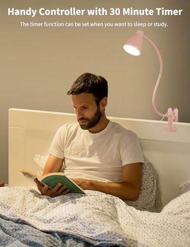 BOHON Cute Desk Lamp with Clamp Clip on Light, 5 Color 10 Brightness, Pink | Flexible Gooseneck Pink Lamp 10W 38 LED Auto Off Timer Kawaii Accessories Desk Lights for Office Home Bed Bedside Reading - color: Pink