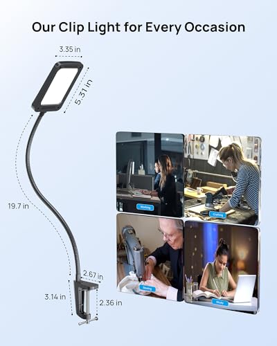 TROND LED Desk Lamp with Clamp, 1000LM Super Bright 3-Level Dimmable Desk Light 6000K Daylight, Extra-Long Flexible Gooseneck Clip on Light, Eye-Care Clamp Lamp for Painting, Workbench,Reading - style: Type B Clip Lamp