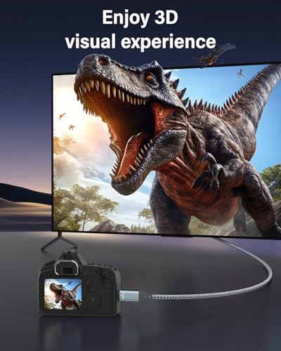 RUIZHI 4K Micro HDMI to USB-C Cable 10FT 4K 60Hz & 18Gbps - Nylon Braided Adapter with Aluminum Connectors for Micro HDMI Source to USB-C Display, MacBook/iPad Pro Mirroring (Office & Home Streaming) - size: 10FT