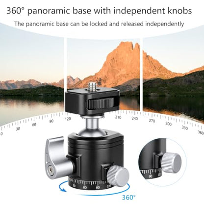 SH22 Mini Ball Head – Compact 360° Rotating Camera Mount with 1/4" Screw, Cold Shoe Accessory Holder, 90° Tilt for DSLR, Mirrorless, Smartphones and Lighting Accessories