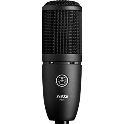 AKG P120 Cardioid Condenser Microphone (Black) with XLR-XLR Cable, Pop Filter & 10-Pack Straps Bundle