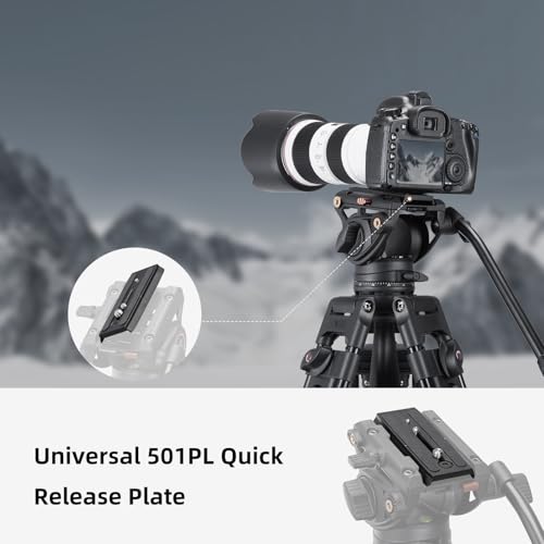 Cayer QR120 Tripod Fluid Head Quick Release Plate Replacement with 1/4 inch and 3/8 inch Mounting Screws for K3 K6 H4 H6 H8 K10 Fluid Head, 501PL Style Plate Replacement