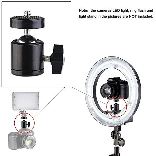 SLOW DOLPHIN Hot Shoe Mount Adapter 360 Degree Swivel Mini Ball Head 1/4 Tripod Screw for Cameras, Camcorders, Smart Phone, LED Video Light, Microphone (4 Packs)