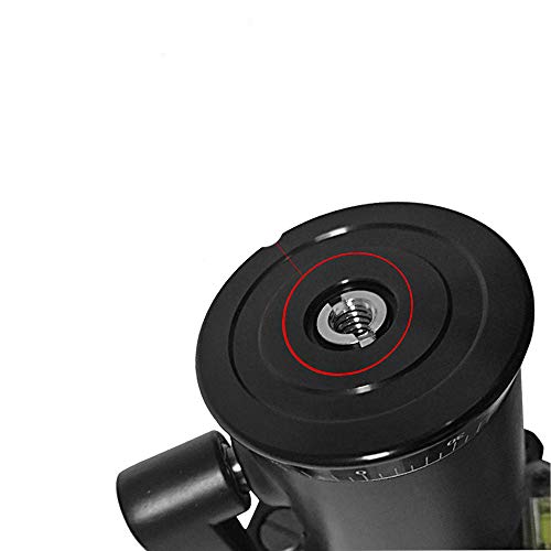 3/8" to 1/4" Tripod Ballhead Reducer Bushing Convert Screw Adapter,1/4" to 3/8" Tripod Ballhead Camera Convert Screw Adapter Mount for Tripod Monopod Ballhead Video Light Stand DSLR SLR