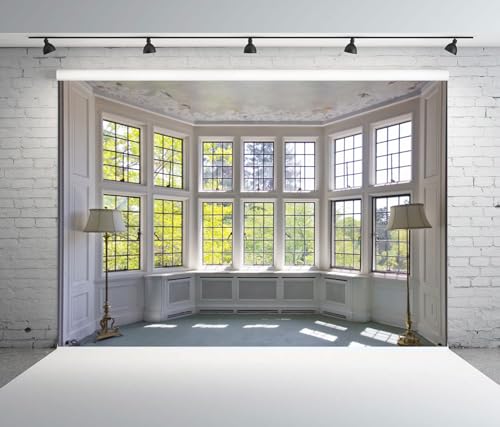 8x6.5ft Big Bright Window Backdrop Window Garden Zoom Room Background for Wall Zoom Living Room Office Backdrop for Video Conference Background for Video Recording - size: 8x6.5ft