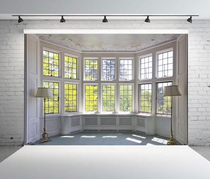 10x7ft Big Bright Window Backdrop Window Garden Zoom Room Background for Wall Zoom Living Room Office Backdrop for Video Conference Background for Video Recording - size: 10x7ft