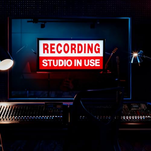RECORDING STUDIO IN USE LED Neon Lightbox Remote Control Recording Neon Sign USB Powered Wall Mount or Tabletop Light Sign for Recording Radio Home Streamers Gamers Decor(11.8 * 5.9 * 1.97in) - color: RECORDING Red White Letter 2
