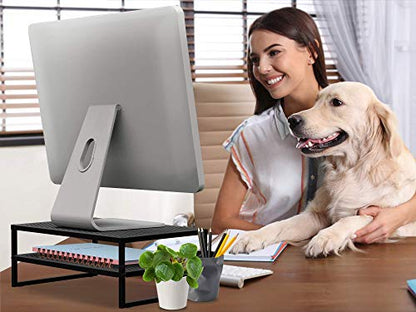 CAXXA 2-Tier Metal Laptop PC Monitor Stand Riser MAX 50 LBS Loading for Monitor, Printer,Black