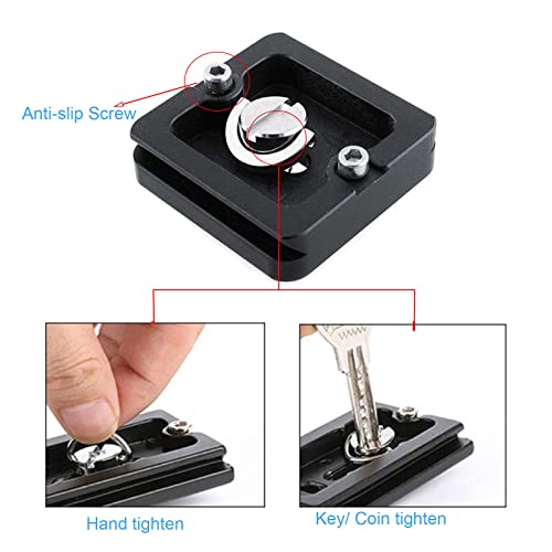 Regetek Aluminum PU-40 Quick Release Plate with 1/4" Screw, Universal Slide-In 40mm*38mm QR Plate for Manfrotto Arca Swiss Benro Acratech Kirk Wimberley Gitzo RRS MARKINS SUNWAYFOTO Kangrinpoche SIRUI