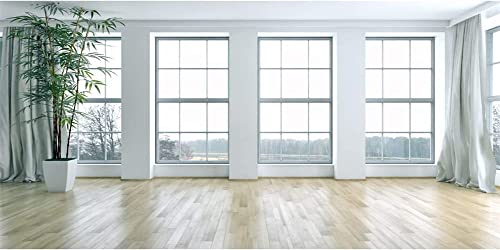 Yeele 20x10ft Empty Room Backdrop French Windows Living Room Plants Wooden Floor Background for Photography Modern Interior Room Home House Office Decor Video Conferencing Banner