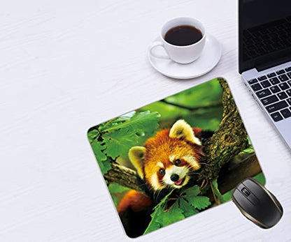 Cute red Panda Forest Animal Mouse Pad Mat Mousepad 8.6 X 7.1 in - color: Cute red Panda Forest