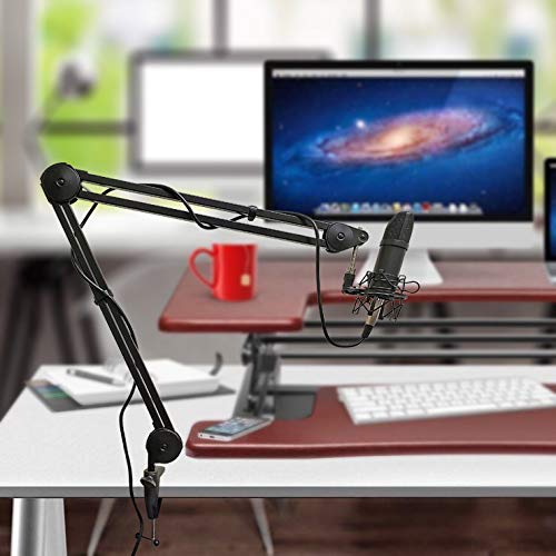 AxcessAbles Heavy Duty Mic Boom Arm 3.3ft Extension with 6ft XLR Cable & Ties | 5LB Capacity | Microphone Arm Desk Mount | Perfect for Gaming, Streaming & Pod Cast